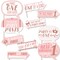 Big Dot of Happiness Funny 1st Birthday Little Miss Onederful - Girl First Birthday Party Photo Booth Props Kit - 10 Piece